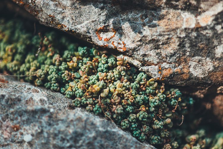 Les couleurs apaisantes du grès cérame effet pierre